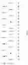 Fig. 06 - FLEXIBLE ALLOCATION OF REGULAR BINS IN RESIDUAL CODING FOR VIDEO CODING