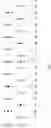 Fig. 19 - Position based mode derivation in reduced secondary transforms for video