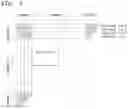 Fig. 07 - Image encoding/decoding method and device, and recording medium using intra block copy