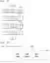 Fig. 30 - Image encoding/decoding method and device, and recording medium using intra block copy