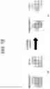 Fig. 19 - CCLM prediction-based image decoding method and apparatus in image coding system