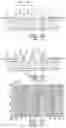 Fig. 02 - Elliptical ring radiator diaphragm, tweeter and damping method