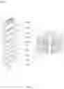 Fig. 34 - Bone conduction speaker