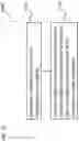 Fig. 28 - TRANSDUCER PLACEMENT FOR GROWTH ACCOMMODATION