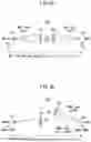 Fig. 06 - Method and apparatus for controlling beam in wireless communication system