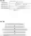 Fig. 05 - Synchronous transmission of scheduling request and BSR message in 5G/6G