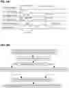 Fig. 07 - Synchronous transmission of scheduling request and BSR message in 5G/6G
