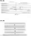 Fig. 09 - Synchronous transmission of scheduling request and BSR message in 5G/6G