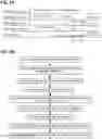 Fig. 10 - Synchronous transmission of scheduling request and BSR message in 5G/6G