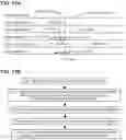 Fig. 18 - Synchronous transmission of scheduling request and BSR message in 5G/6G