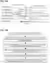 Fig. 19 - Synchronous transmission of scheduling request and BSR message in 5G/6G