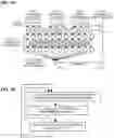 Fig. 32 - Synchronous transmission of scheduling request and BSR message in 5G/6G