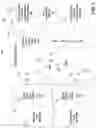Fig. 06 - Method and apparatus for determining wireless MNO coverage and efficiently operating an enterprise wireless communication network