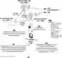 Fig. 01 - Methods, systems, and devices for call session management via dynamic control of dual connectivity in a network