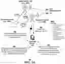 Fig. 04 - Methods, systems, and devices for call session management via dynamic control of dual connectivity in a network