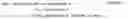 Fig. 02 - Requirement related to communication of wireless communication device