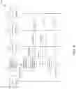 Fig. 09 - PHONE-LESS MEMBER OF GROUP COMMUNICATION CONSTELLATIONS
