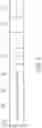 Fig. 05 - Communication method of network entity and related wireless communication system