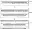 Fig. 01 - Positioning method, device, system, terminal, LMF entity, and medium