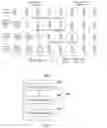 Fig. 04 - Information transmission method, network device, and terminal