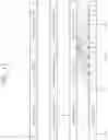 Fig. 13 - Method and apparatus for sidelink retransmission in wireless communication system