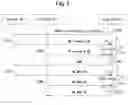 Fig. 06 - Method and apparatus for random access in communication system