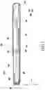 Fig. 06 - Electronic device including heat dissipation member