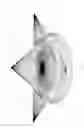 Fig. 11 - LITTER BOX