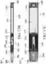 Fig. 13 - Vaporization device with seal fixation member