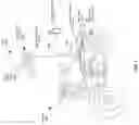 Fig. 02 - Systems and methods for an intelligent motorcycle helmet