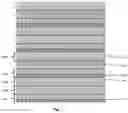 Fig. 06 - DOUBLE KNIT UPPER COMPRISING FUNCTIONAL TUCKED-IN YARNS