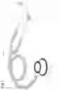 Fig. 02 - Auscultation-Assisting Tool and Stethoscope