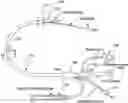 Fig. 01 - INTRACARDIAC DELIVERY CATHETER AND METHOD OF USE