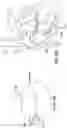 Fig. 19 - INTRACARDIAC DELIVERY CATHETER AND METHOD OF USE