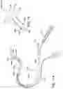 Fig. 24 - INTRACARDIAC DELIVERY CATHETER AND METHOD OF USE
