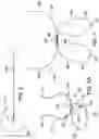 Fig. 06 - Adjustable all-suture anchoring assembly and method