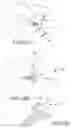 Fig. 32 - VERTEBRAL JOINT IMPLANTS AND DELIVERY TOOLS