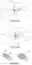 Fig. 65 - VERTEBRAL JOINT IMPLANTS AND DELIVERY TOOLS