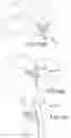 Fig. 69 - VERTEBRAL JOINT IMPLANTS AND DELIVERY TOOLS