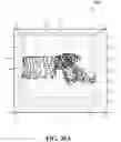 Fig. 22 - Systems and methods for modeling spines and treating spines based on spine models