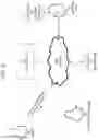 Fig. 05 - Co-registration for augmented reality and surgical navigation