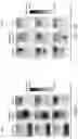 Fig. 08 - Endoscopic Guidance Using Neural Networks
