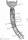 Fig. 08 - Delivery system for endovascular devices