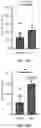 Fig. 06 - Systems, Devices, and Methods for Gamma Entrainment using Tactile Stimuli