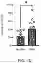 Fig. 07 - Systems, Devices, and Methods for Gamma Entrainment using Tactile Stimuli
