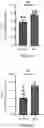 Fig. 08 - Systems, Devices, and Methods for Gamma Entrainment using Tactile Stimuli