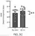 Fig. 09 - Systems, Devices, and Methods for Gamma Entrainment using Tactile Stimuli