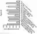 Fig. 08 - Protection of materials by sphingosine based compounds