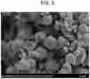 Fig. 06 - INHALABLE DRY POWDER FORMULATIONS COMPRISING ANGIOGENESIS INHIBITORS