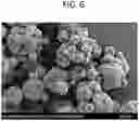 Fig. 07 - INHALABLE DRY POWDER FORMULATIONS COMPRISING ANGIOGENESIS INHIBITORS